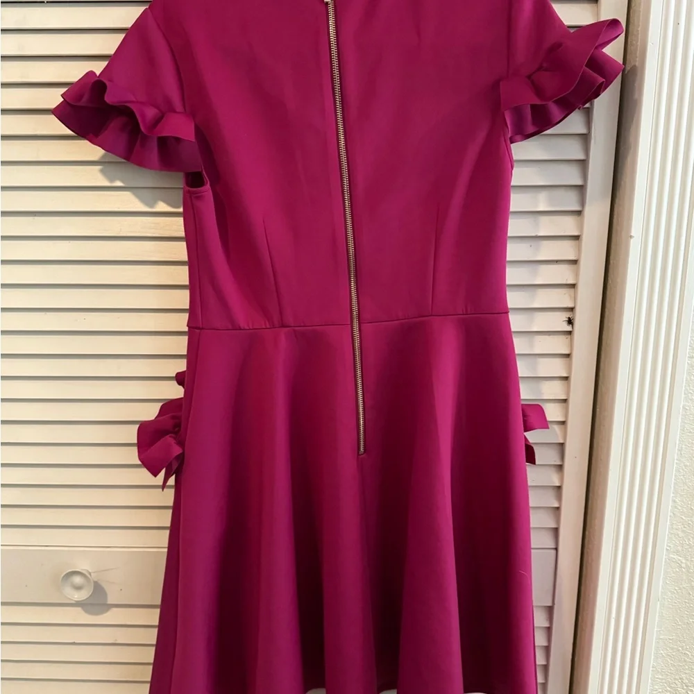 Pink Ruffle Dress - Picture 3 of 3